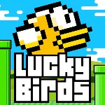 LuckyBirds